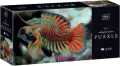 Puzzle 250 Colourful Nature 11 Mandarinfish - tantis.pl