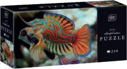 Puzzle 250 Colourful Nature 11 Mandarinfish