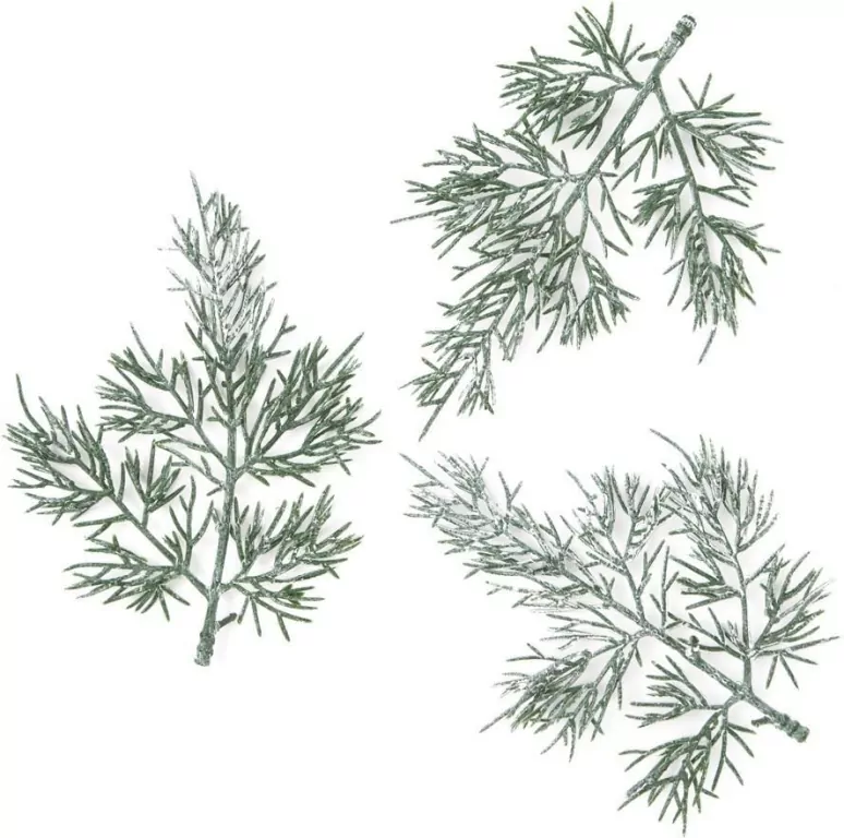 Gałązki tuji 13cm 3szt - tantis.pl