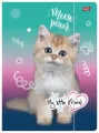 Teczka z gumką A4 My Little Friend Cat - tantis.pl
