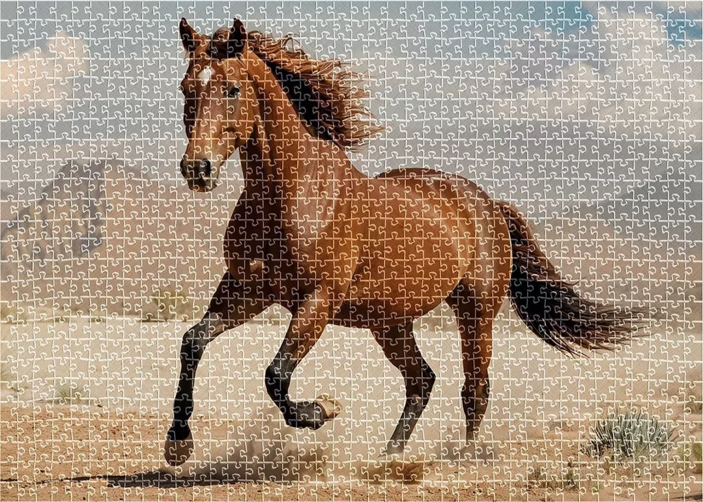 Puzzle 1000 Wild Horses 2 - tantis.pl