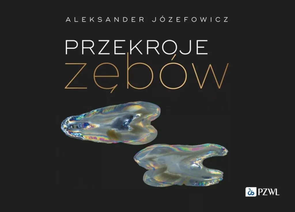 Przekroje zębów - tantis.pl