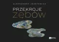 Przekroje zębów - tantis.pl