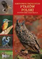 Ilustrowana encyklopedia ptaków Polski. Przewodnik ornitologa - tantis.pl