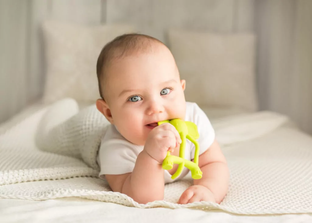 Gryzak dla dzieci uspokajający Słoń limonka - tantis.pl