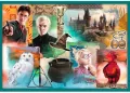 Puzzle 10w1. W świecie Harrego Pottera - tantis.pl