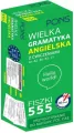Fiszki 555. Wielka gramatyka angielska. A1/C1 - tantis.pl