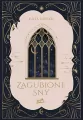 Zagubione sny - tantis.pl