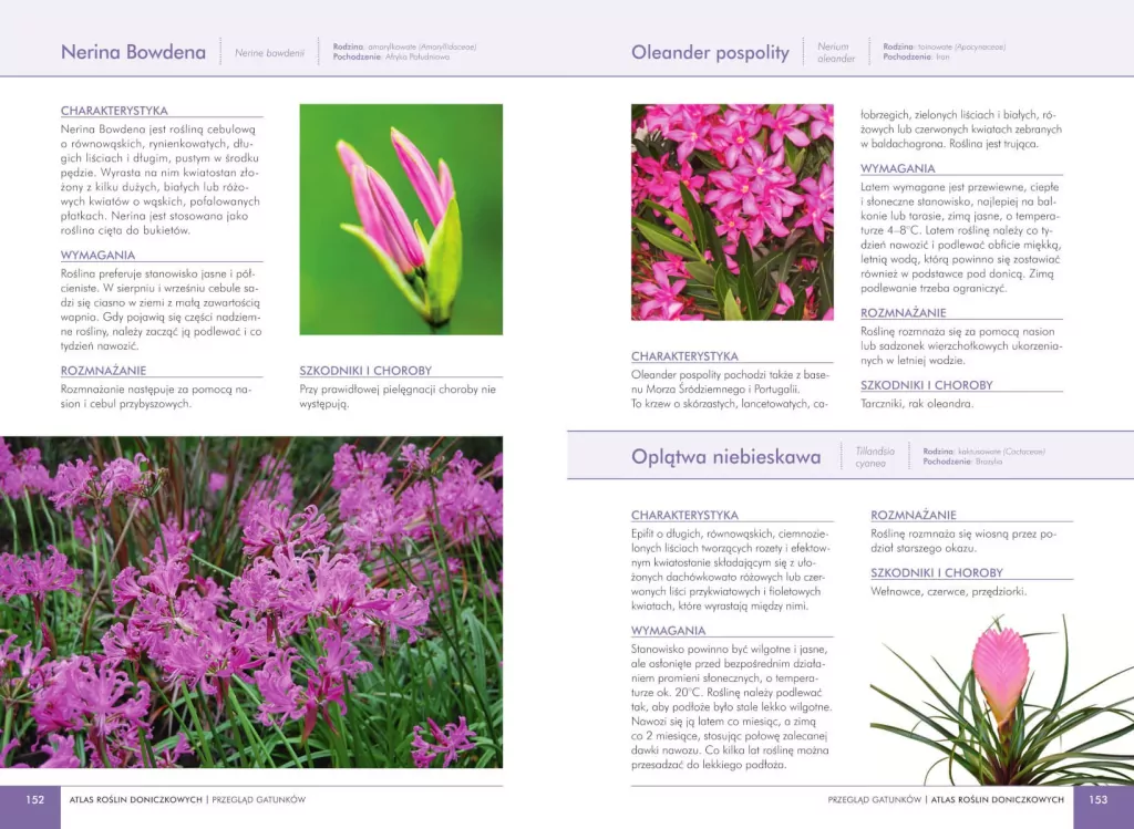 Atlas roślin doniczkowych. 200 gatunków ozdobnych - tantis.pl