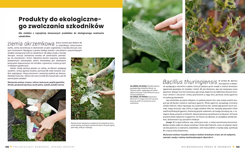 Początkujący ogrodnik. Uprawa warzyw - tantis.pl