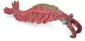 Anomalocaris - tantis.pl