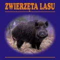Zwierzęta lasu - tantis.pl