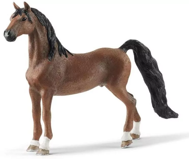 Wałach rasy Saddlebred. Horse Club - tantis.pl