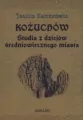 Kożuchów - tantis.pl