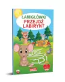 Łamigłówki. Przejdź labirynt - tantis.pl