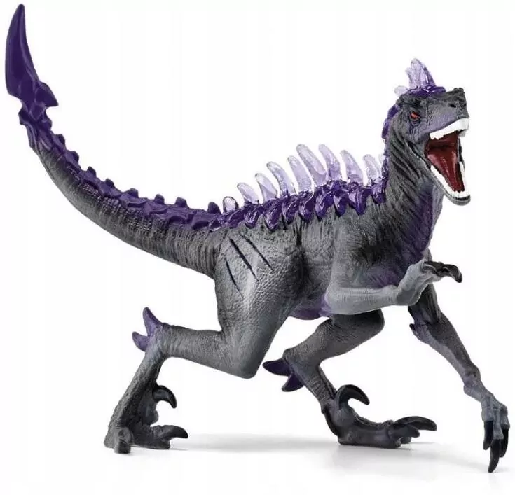 Raptor Cienia - tantis.pl