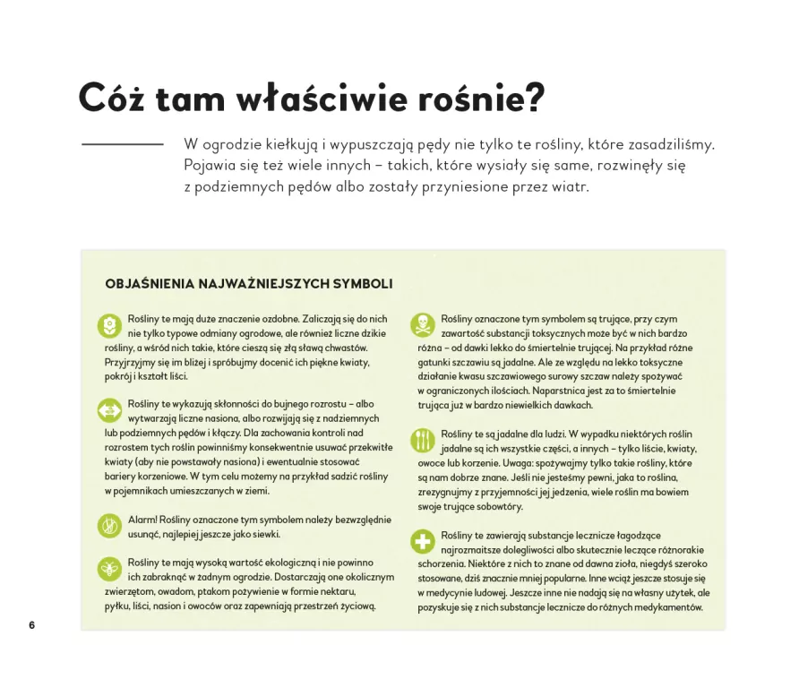 Co z tego wyrośnie? Chwast czy nie? - tantis.pl