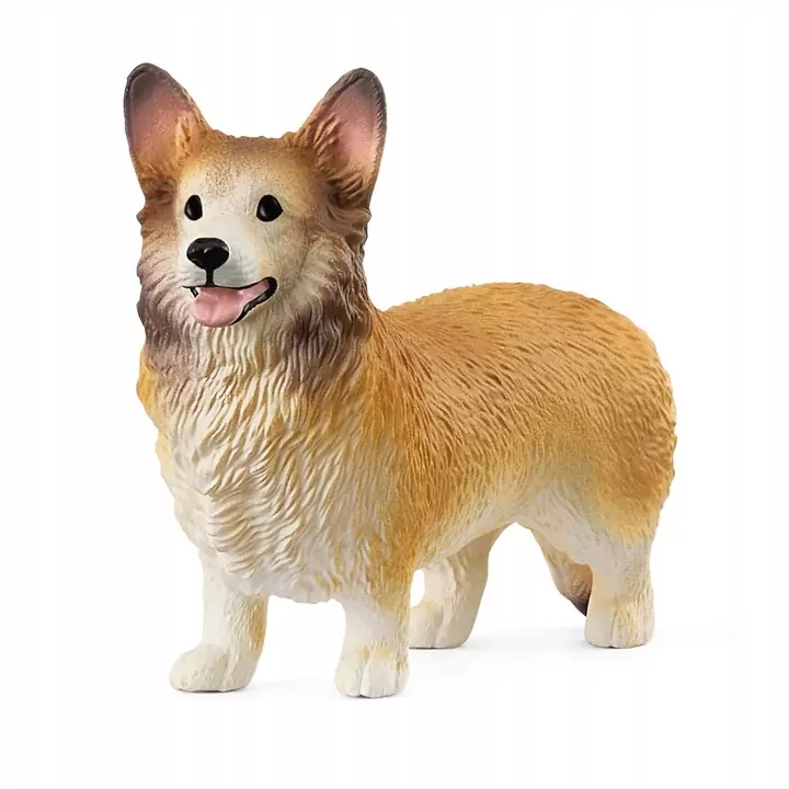Corgi - tantis.pl