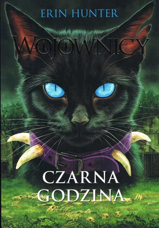 Czarna godzina. Wojownicy. Tom 6 - tantis.pl