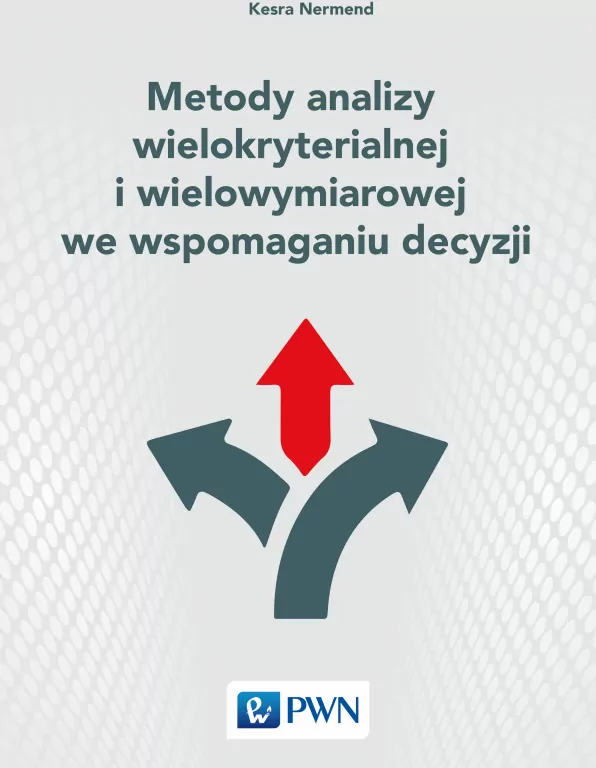 Metody analizy wielokryterialnej i wielowymiarowej we wspomaganiu decyzji - tantis.pl