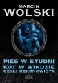 Pies w studni. Kot w windzie czyli rekonkwista - tantis.pl