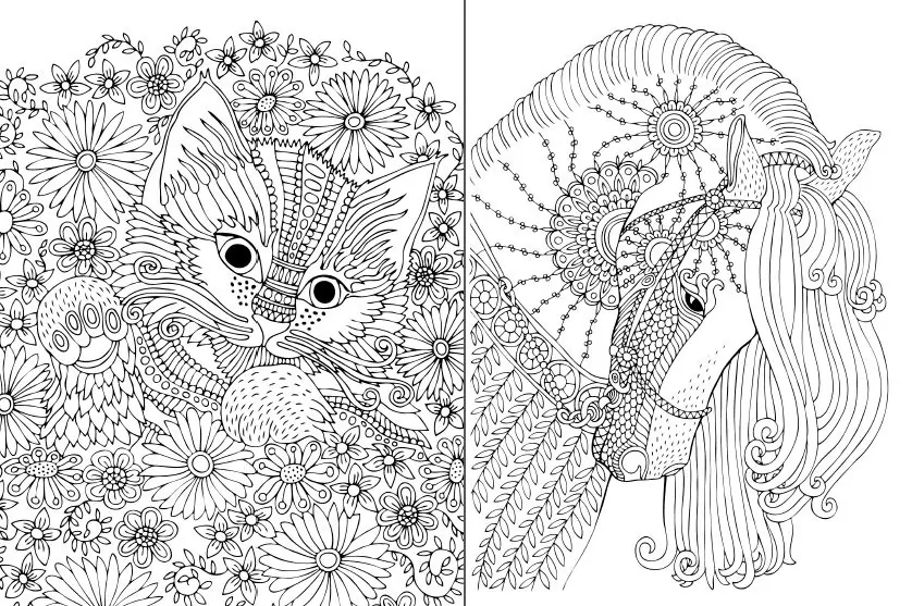 Розмальовка-антистрес.Ідеальна гармонія - tantis.pl