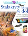 Ciekawe dlaczego stalaktyty rosną w dół - tantis.pl