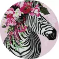 Malowanie po numerach okrągłe - Fantastyczna zebra - tantis.pl
