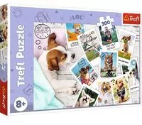 Puzzle 300. Zdjęcia z wakacji. 23003 - tantis.pl