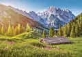 Castor. Puzzle 500. Lato w Alpach - tantis.pl