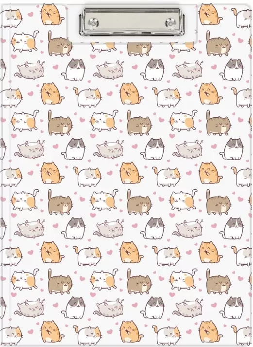 Klip A4 deska kittens - tantis.pl