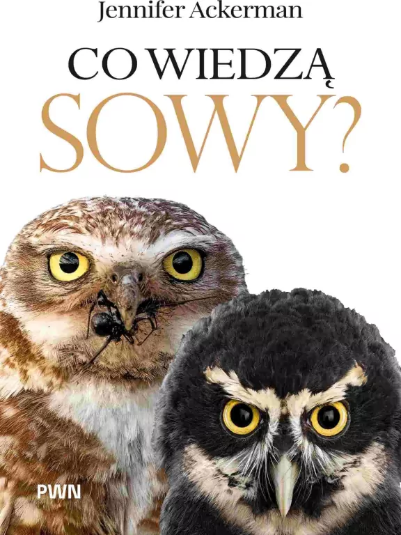 Co wiedzą sowy? - tantis.pl