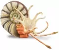 Ammonite - tantis.pl