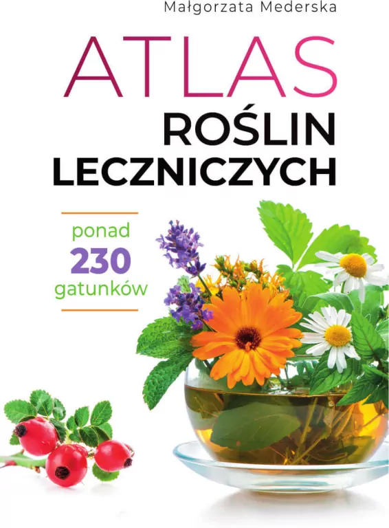 Atlas roślin leczniczych - tantis.pl