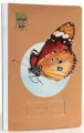 Notes Green Mind Green Life Motyl  GML3 - tantis.pl
