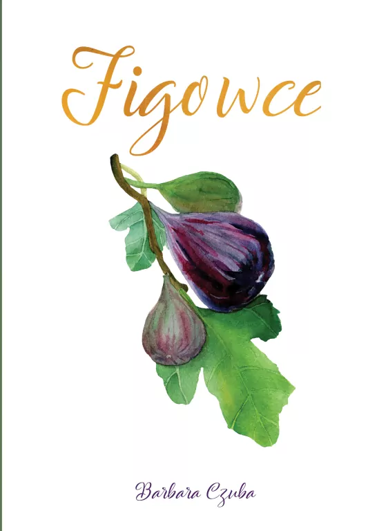 Figowce - tantis.pl