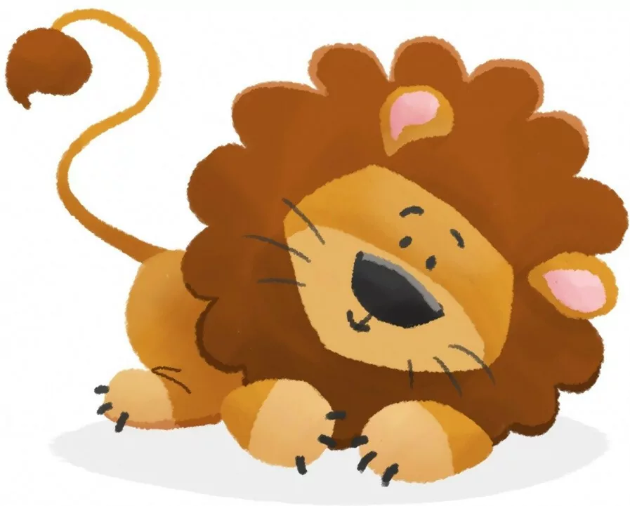 Czółko Junior - tantis.pl