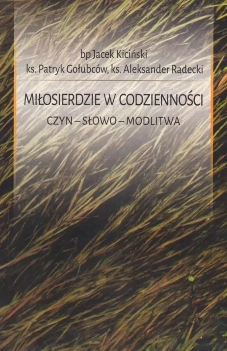 Miłosierdzie w codzienności - tantis.pl