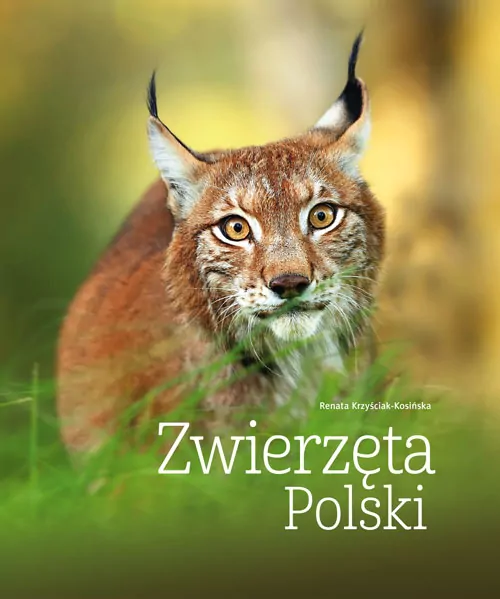 Zwierzęta Polski - tantis.pl