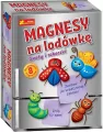 Gipsowe magnesy owady i robaczki - tantis.pl
