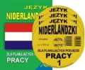 Język niderlandzki dla planujących podjęcie pracy - tantis.pl