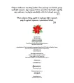 Baśnie zimowe - tantis.pl