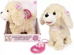 Piesek chodzący na smyczy mix