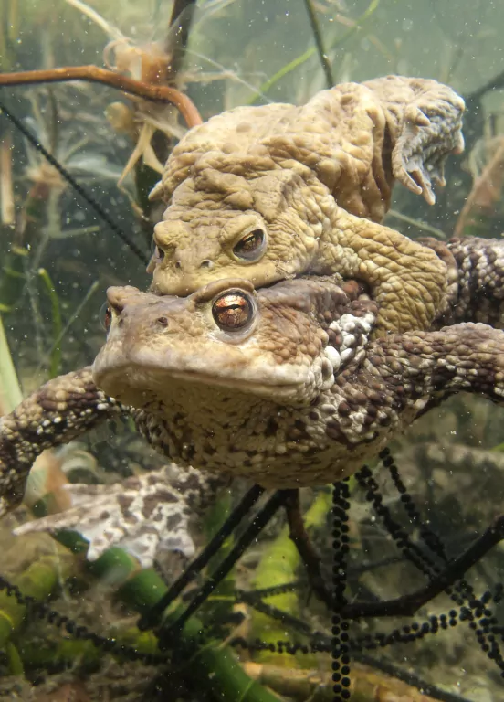 Życie na Ziemi - tantis.pl