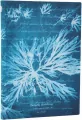 Notatnik linia Sea Flowers midi - tantis.pl