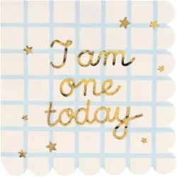 Serwetki papierowe I am one today 33x33cm