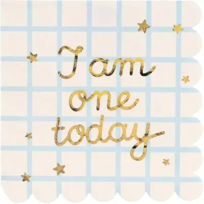 Serwetki papierowe I am one today 33x33cm