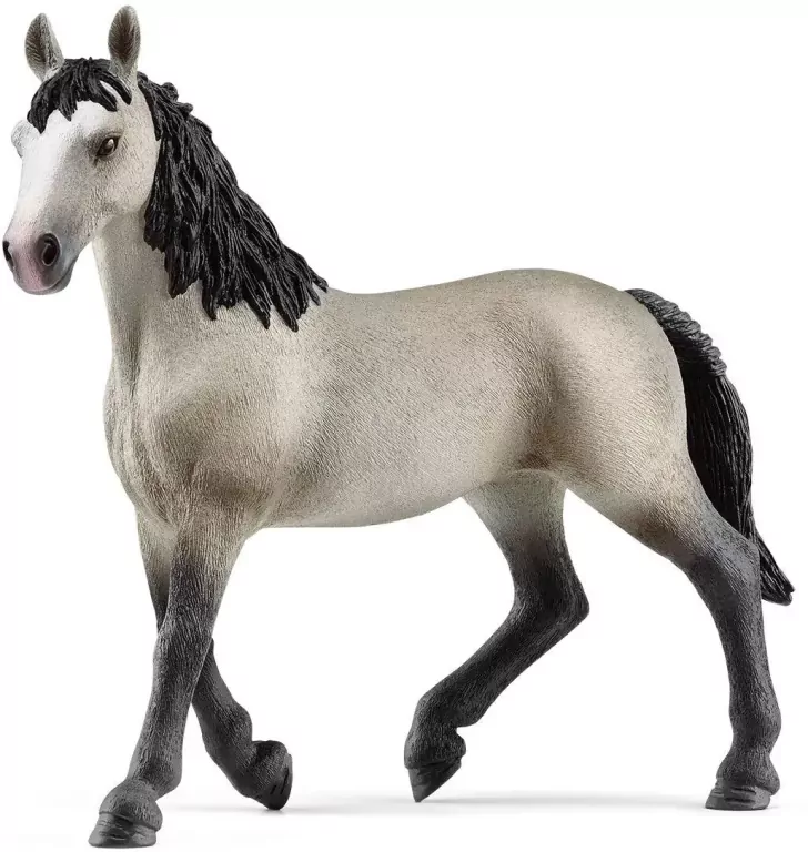 Klacz rasy cheval de selle francais - tantis.pl