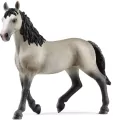 Klacz rasy cheval de selle francais - tantis.pl