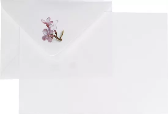 Logos. Papeteria A5, 4 koperty i 6 kartek. Przedwiośnie